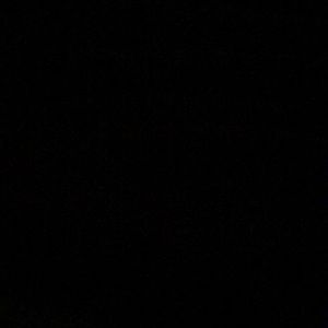 Meet your Posher, Alisa